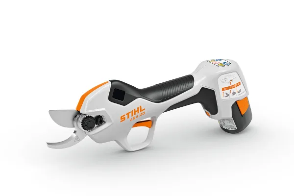 STIHL ASA 20 SET s AS 2 + AL 1